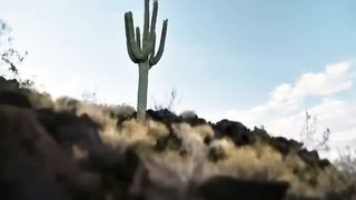 Как вожделенны жилища Твои