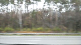 Белые крылья - Жизнь