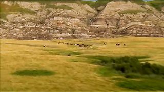 Виктория Березовская - Только Кто это сотворил