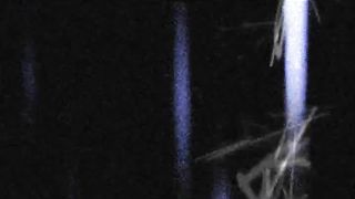 Бюро путешествий (2007)