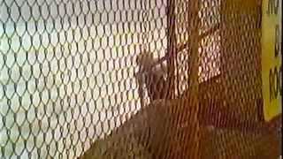 Такова жизнь: Дар слёз