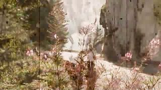 Игорь Сорокин - Город золотой