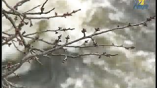 Валерий Боршовский и Станислав Акимов 1 - Над пропастью