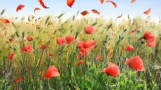 Я колени склоню караоке