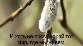 Шалом мои друзья караоке