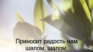 Шалом мои друзья караоке