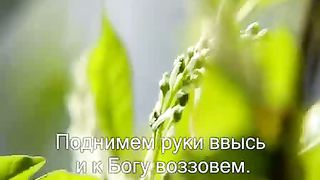 Шалом мои друзья караоке