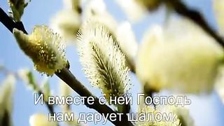 Шалом мои друзья караоке