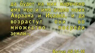 Александр Болотников - Тора 13 - Примиритель