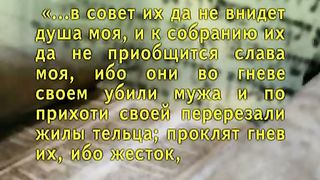 Александр Болотников - Тора 13 - Примиритель