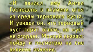 Александр Болотников - Тора 14 - Спасение близко