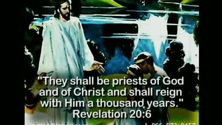 Вальтер Вейс - Долгожданное тысячелетие