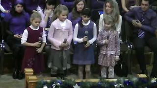 Овечки коровки. Брест