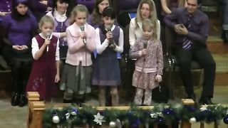 Овечки коровки. Брест