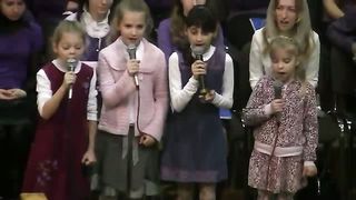 Овечки коровки. Брест