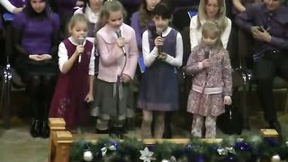 Овечки коровки. Брест