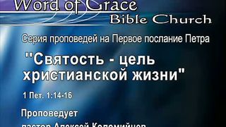 Алексей Коломийцев - Святость - цель христианской жизни