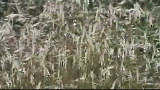 Эли Захаров - Дух Святой