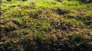 Эли Захаров - Дух Святой