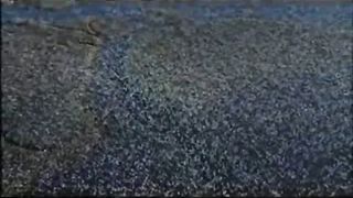 Эли Захаров - Дух Святой