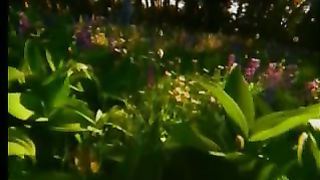 О Великий Творец (Збірник псалмів)