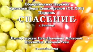 Владимир Шушкевич - Безымянный пророк