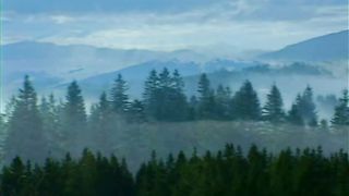 Косари на лугу 4