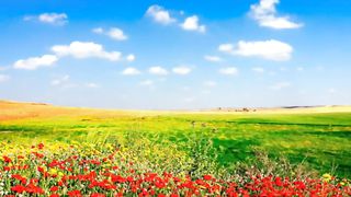 Погружусь в тишину