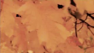 Сергей Демидович - Осень