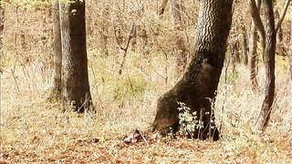 Сергей Демидович - Осень