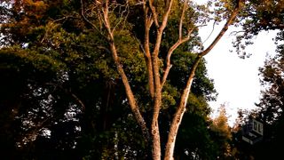 Угол - Благовестие в Латинской Америке 1