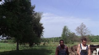 Ранние годы жизни Билли Грэма (2008)