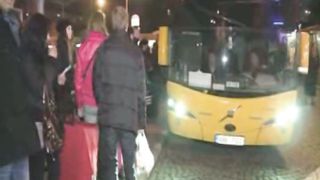 Сім’ї Давидових і Сливкових далі без дітей