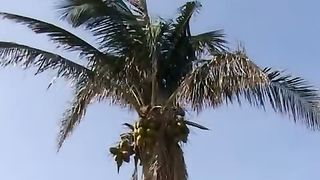 Джерело - Молись, молись