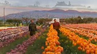 Джерело - Співай, моє серце