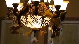 Джерело - У вечірній тиші