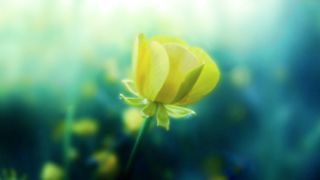 Молитва віри - ІІІ частина