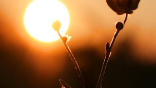 Молитва віри - ІV частина