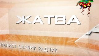 Ростислав Радчук - Миролюбие