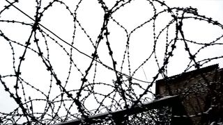 Владимир Шушкевич - Зона прощения