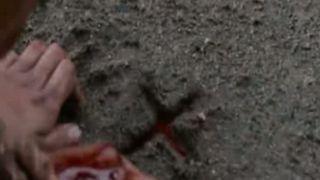 Кров мучеників є насінням нових християн