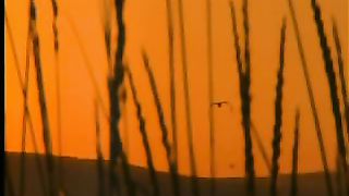 К Тебе, Спаситель мой