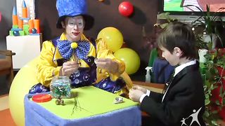 В гостях у Жорика - Дерево бонсай