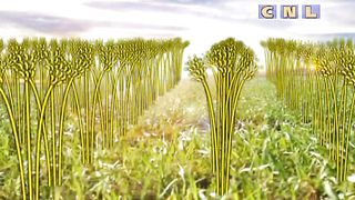 Анатолий Мокляк - Времена и сроки определяет Господь