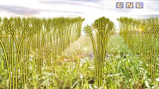 Анатолий Мокляк - Мир Божий