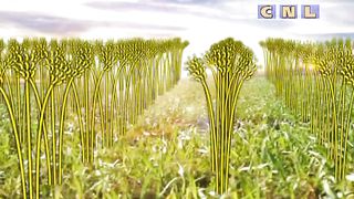 Анатолий Мокляк - Любовь покрывает грех