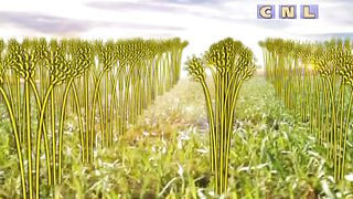 Анатолий Мокляк - Прими Бога как Отца 2