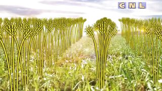 Анатолий Мокляк - Прими Бога как Отца 1