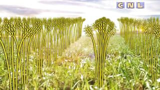 Анатолий Мокляк - Переключись с проблем на Бога