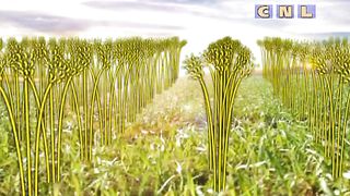 Анатолий Мокляк - Что для меня вера?